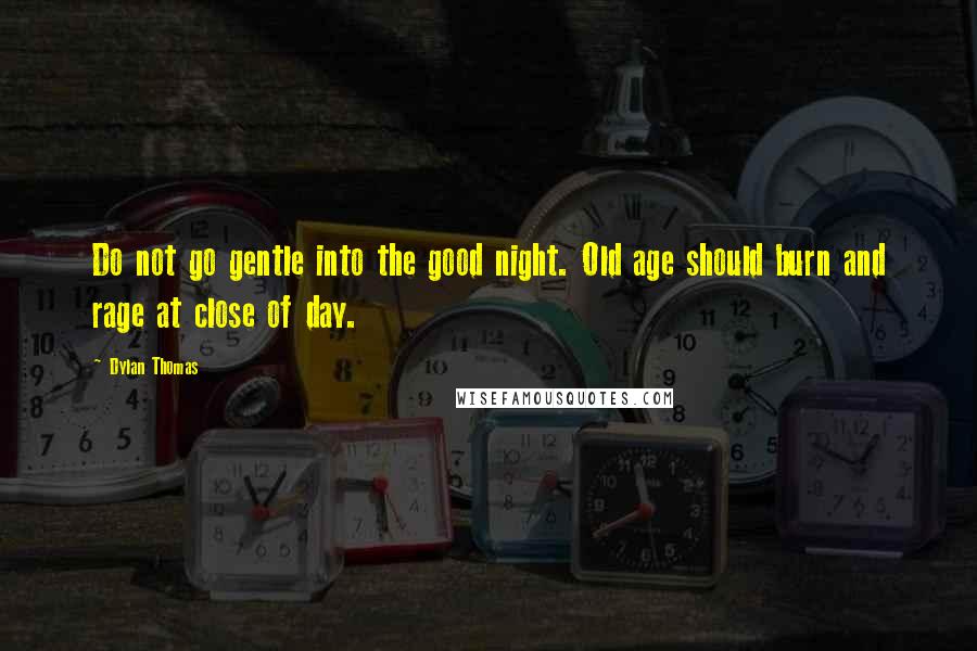 Dylan Thomas quotes: Do not go gentle into the good night. Old age should burn and rage at close of day.