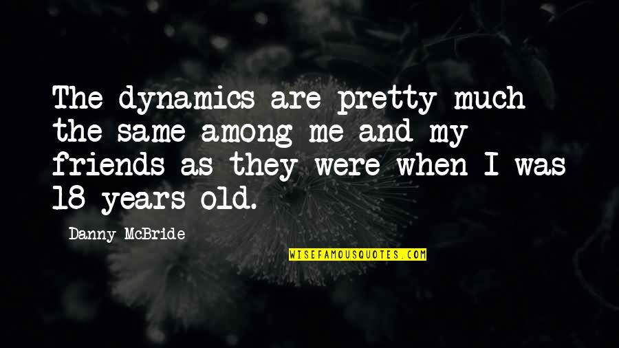 Dynamics Quotes By Danny McBride: The dynamics are pretty much the same among
