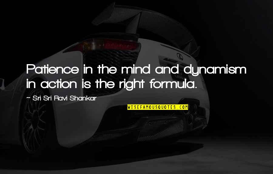 Dynamism Quotes By Sri Sri Ravi Shankar: Patience in the mind and dynamism in action