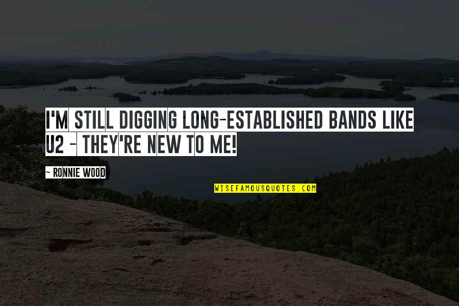 Dynamosaurus Quotes By Ronnie Wood: I'm still digging long-established bands like U2 -