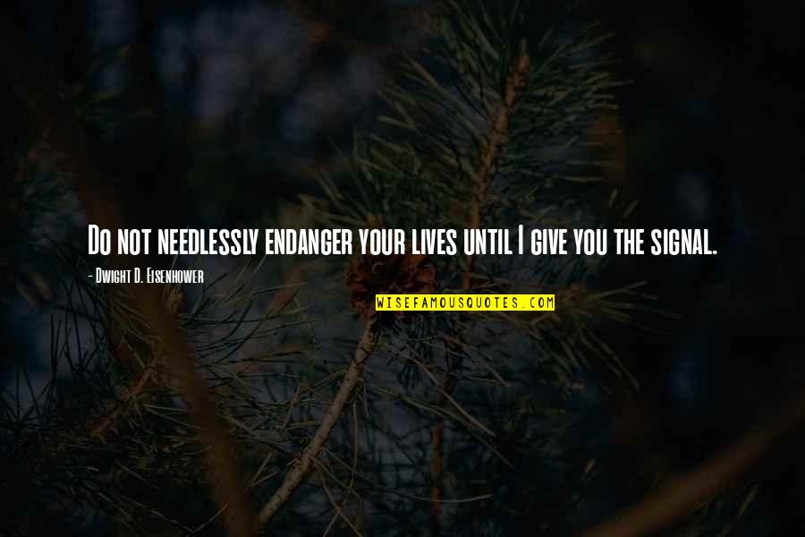 D'you Quotes By Dwight D. Eisenhower: Do not needlessly endanger your lives until I