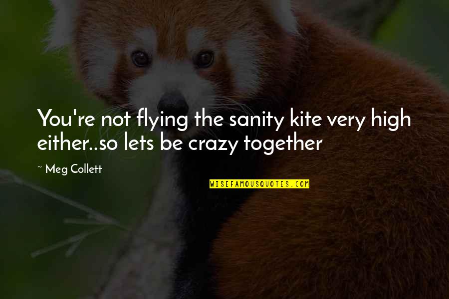 Dysfunctional Quotes By Meg Collett: You're not flying the sanity kite very high