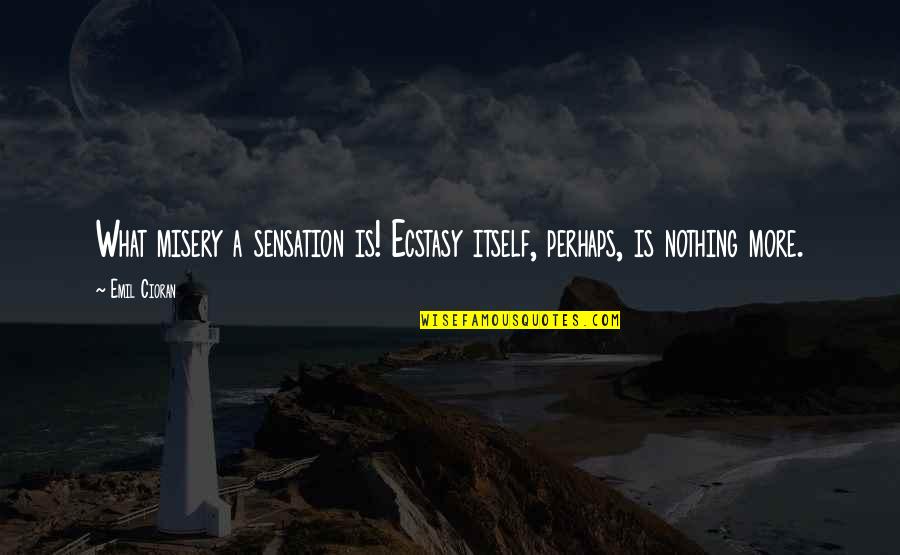 Dysfunctionalism Sociology Quotes By Emil Cioran: What misery a sensation is! Ecstasy itself, perhaps,