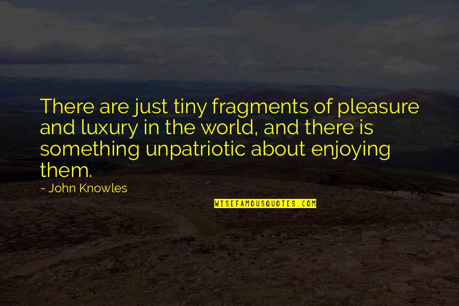 Dysthymic Quotes By John Knowles: There are just tiny fragments of pleasure and