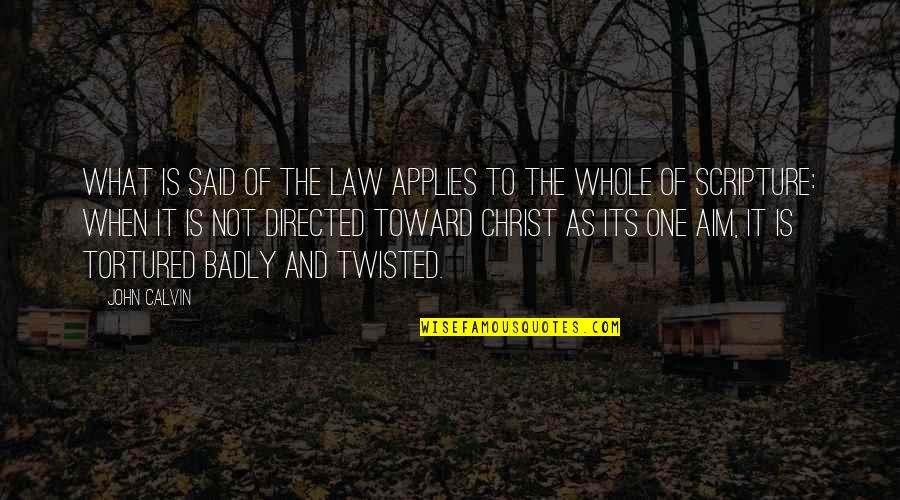 Dystopically Quotes By John Calvin: What is said of the law applies to
