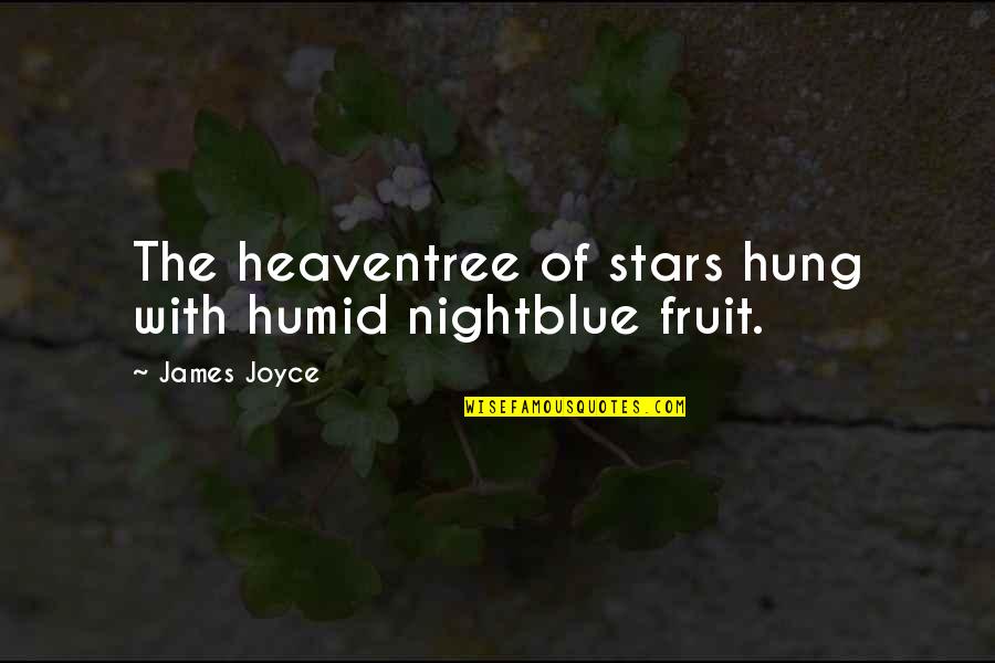 Dzenana Sudzuka Quotes By James Joyce: The heaventree of stars hung with humid nightblue Dzenana Sudzuka Quotes By James Joyce: The heaventree of stars hung with humid nightblue