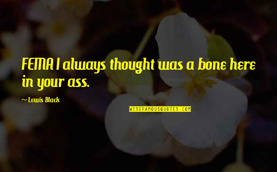 Dzhokhar Tsarnaev Quotes By Lewis Black: FEMA I always thought was a bone here