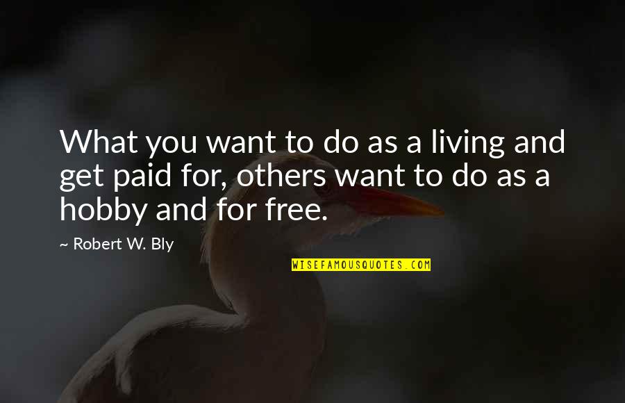 Dzida Stojkovic Bosanac Quotes By Robert W. Bly: What you want to do as a living