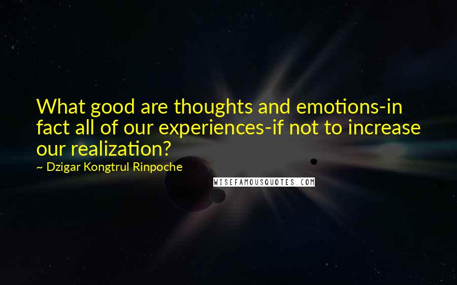 Dzigar Kongtrul Rinpoche quotes: What good are thoughts and emotions-in fact all of our experiences-if not to increase our realization?