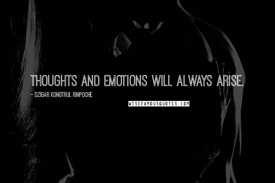 Dzigar Kongtrul Rinpoche quotes: Thoughts and emotions will always arise.