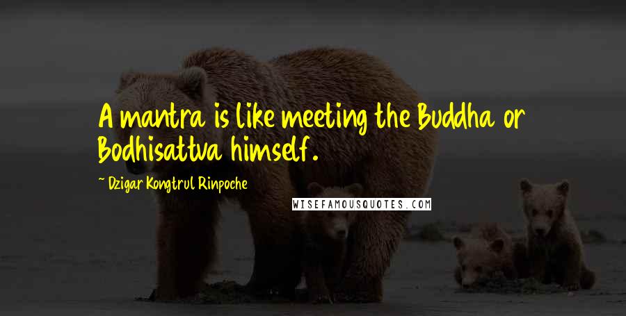 Dzigar Kongtrul Rinpoche quotes: A mantra is like meeting the Buddha or Bodhisattva himself.