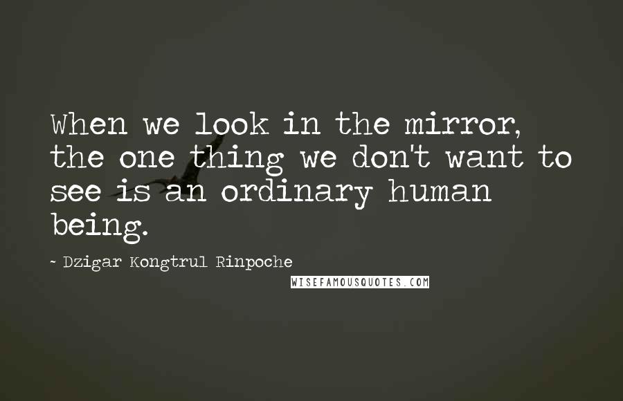 Dzigar Kongtrul Rinpoche quotes: When we look in the mirror, the one thing we don't want to see is an ordinary human being.