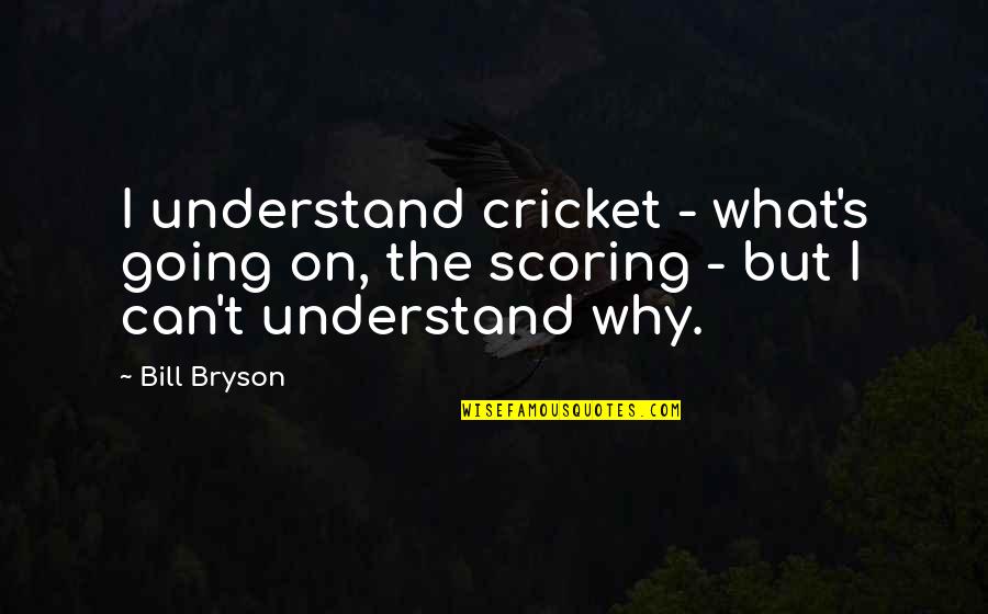 Dzikowski Quotes By Bill Bryson: I understand cricket - what's going on, the