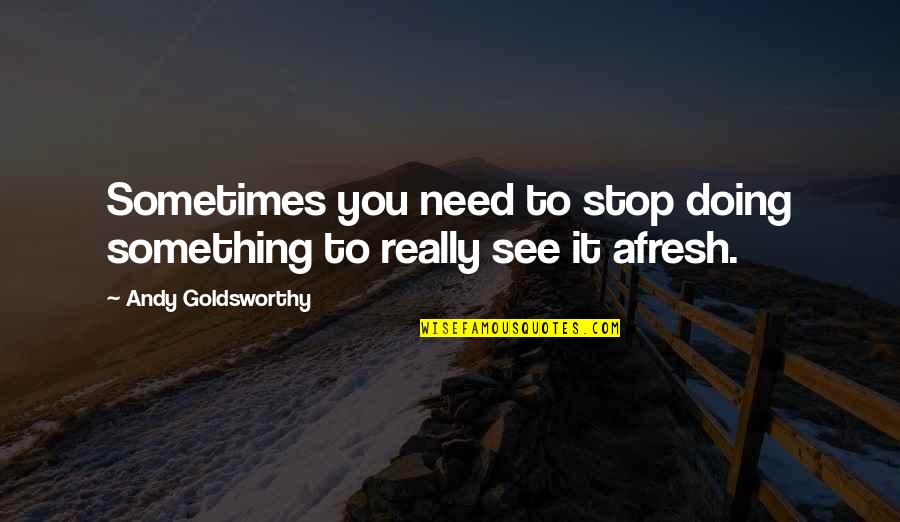Dziuba House Quotes By Andy Goldsworthy: Sometimes you need to stop doing something to