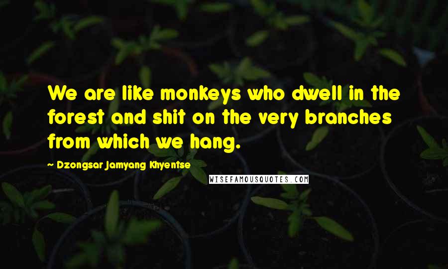 Dzongsar Jamyang Khyentse quotes: We are like monkeys who dwell in the forest and shit on the very branches from which we hang.