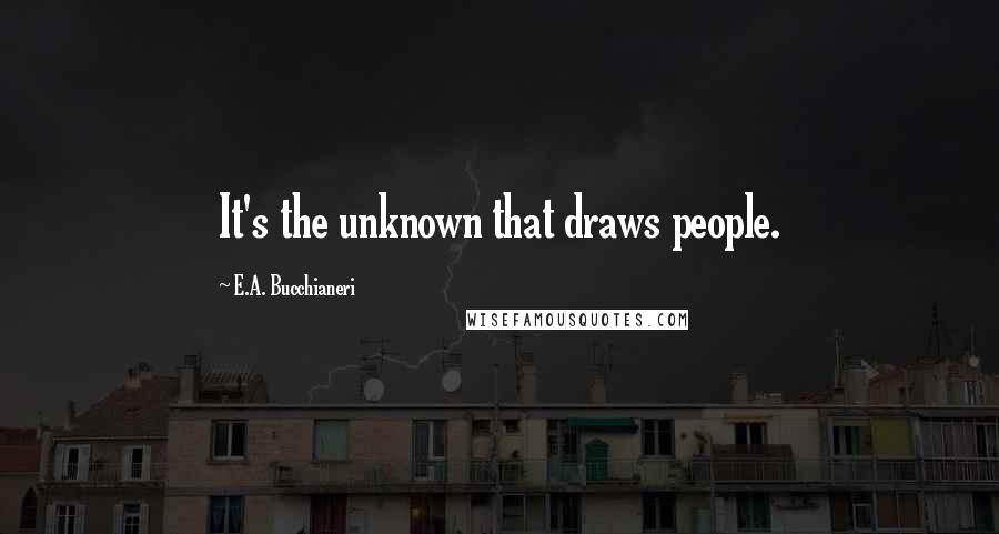E.A. Bucchianeri quotes: It's the unknown that draws people.