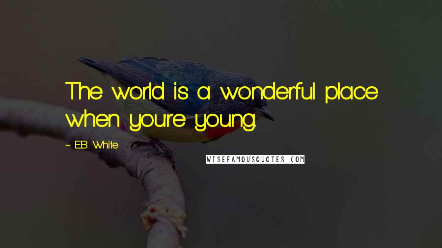 E.B. White quotes: The world is a wonderful place when you're young.
