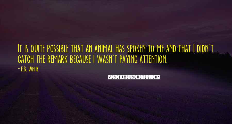 E.B. White quotes: It is quite possible that an animal has spoken to me and that I didn't catch the remark because I wasn't paying attention.