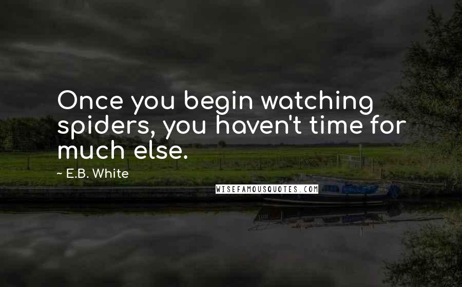 E.B. White quotes: Once you begin watching spiders, you haven't time for much else.