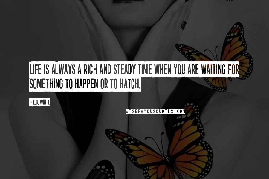 E.B. White quotes: Life is always a rich and steady time when you are waiting for something to happen or to hatch.