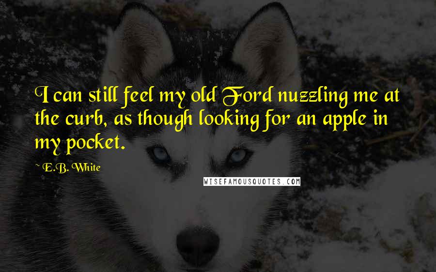 E.B. White quotes: I can still feel my old Ford nuzzling me at the curb, as though looking for an apple in my pocket.