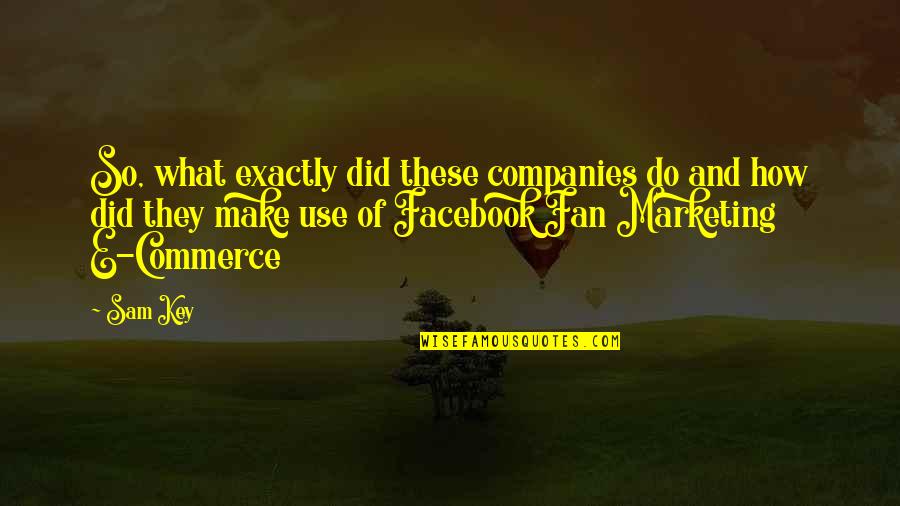 E-commerce Quotes By Sam Key: So, what exactly did these companies do and