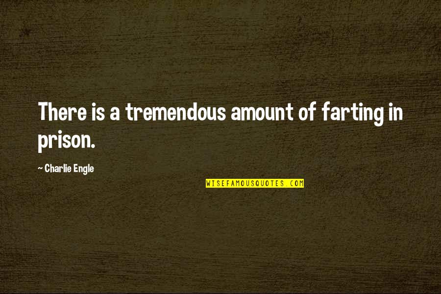 E Corona Quotes By Charlie Engle: There is a tremendous amount of farting in