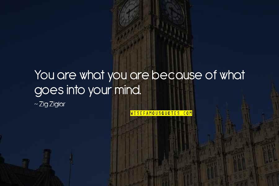 E D Hirschs Famous Quotes By Zig Ziglar: You are what you are because of what