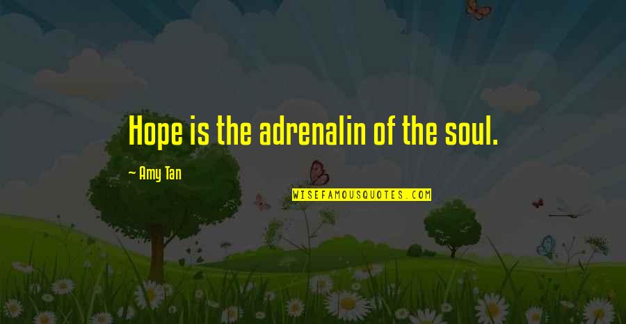 E F Codd Quotes By Amy Tan: Hope is the adrenalin of the soul.