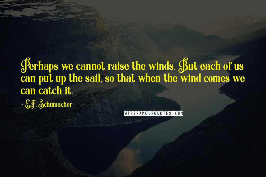 E.F. Schumacher quotes: Perhaps we cannot raise the winds. But each of us can put up the sail, so that when the wind comes we can catch it.