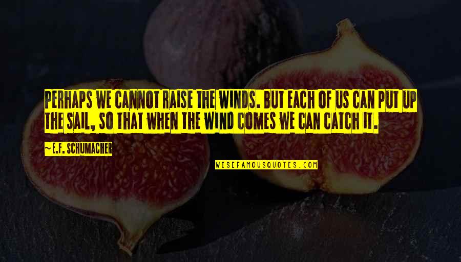 E F Schumacher Quotes By E.F. Schumacher: Perhaps we cannot raise the winds. But each