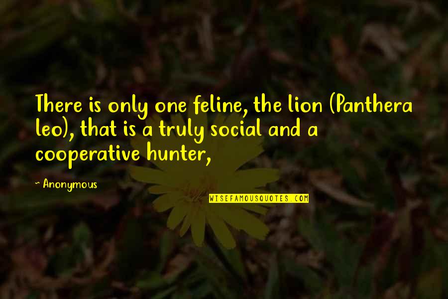 E I Cooperative Quotes By Anonymous: There is only one feline, the lion (Panthera E I Cooperative Quotes By Anonymous: There is only one feline, the lion (Panthera