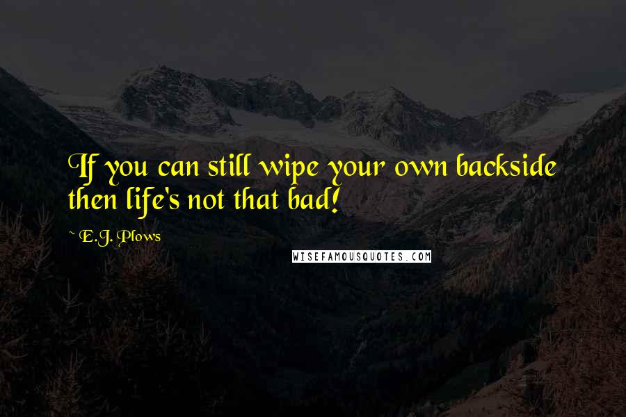 E.J. Plows quotes: If you can still wipe your own backside then life's not that bad!