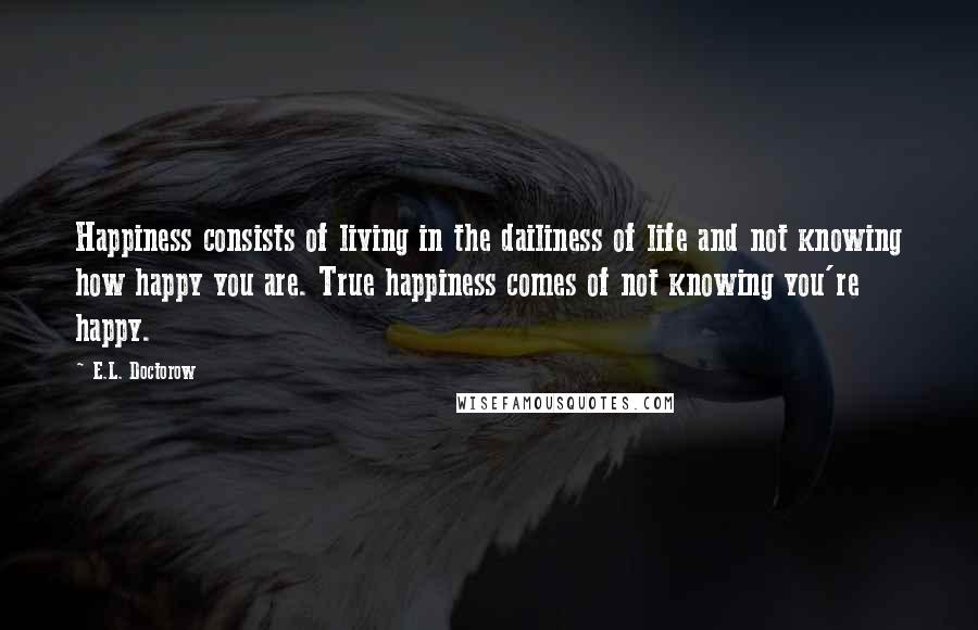 E.L. Doctorow quotes: Happiness consists of living in the dailiness of life and not knowing how happy you are. True happiness comes of not knowing you're happy.