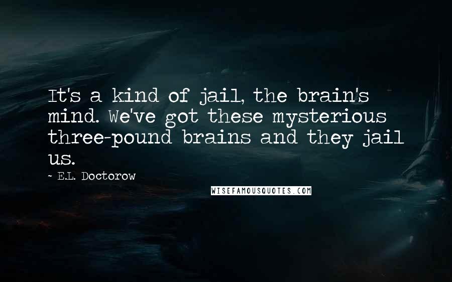 E.L. Doctorow quotes: It's a kind of jail, the brain's mind. We've got these mysterious three-pound brains and they jail us.