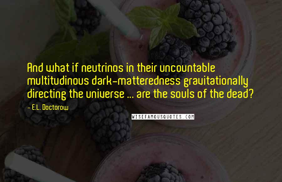 E.L. Doctorow quotes: And what if neutrinos in their uncountable multitudinous dark-matteredness gravitationally directing the universe ... are the souls of the dead?