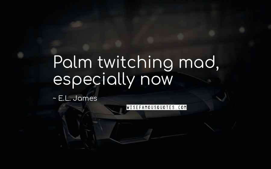 E.L. James quotes: Palm twitching mad, especially now