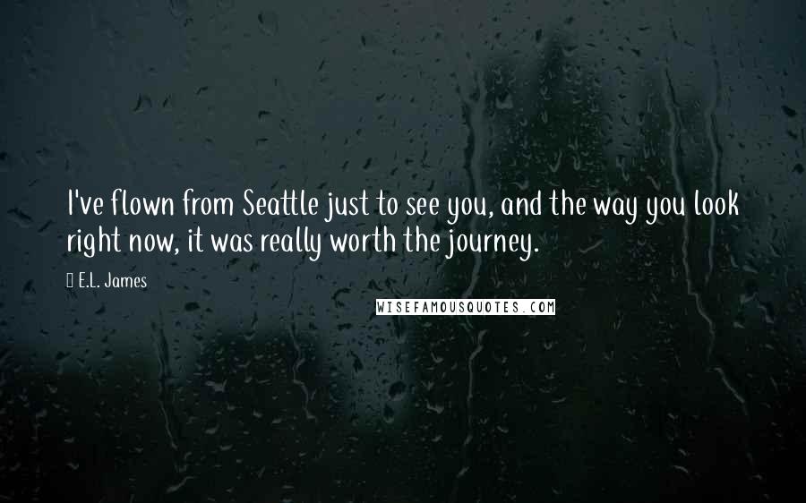 E.L. James quotes: I've flown from Seattle just to see you, and the way you look right now, it was really worth the journey.