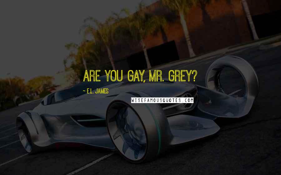 E.L. James quotes: Are you gay, Mr. Grey?