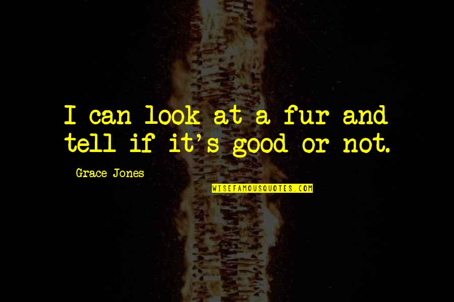 E L R Jones Quotes By Grace Jones: I can look at a fur and tell