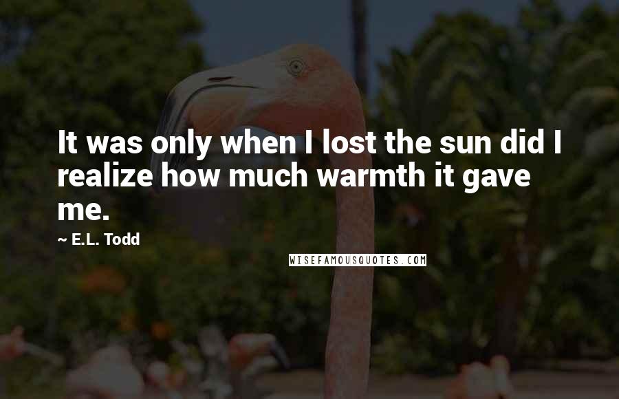 E.L. Todd quotes: It was only when I lost the sun did I realize how much warmth it gave me.