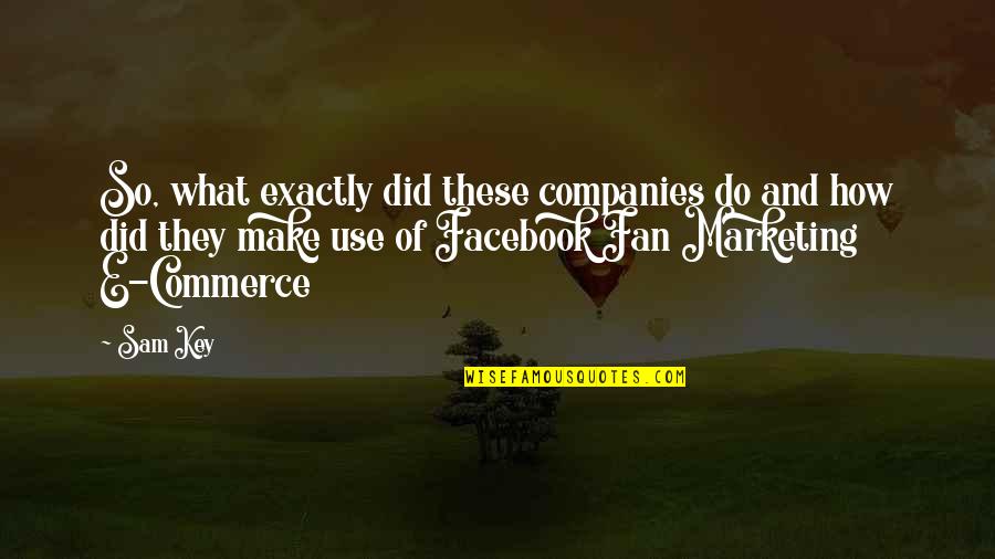 E-marketing Quotes By Sam Key: So, what exactly did these companies do and
