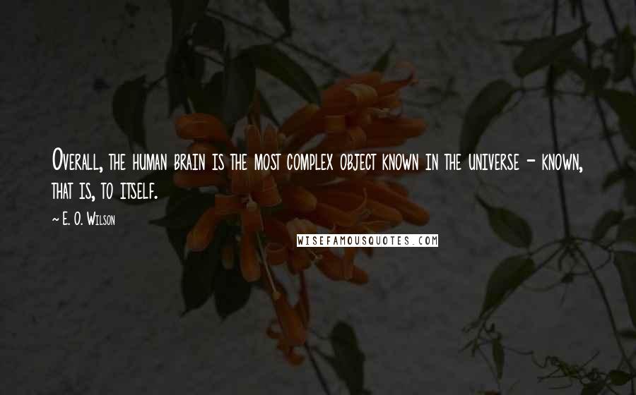 E. O. Wilson quotes: Overall, the human brain is the most complex object known in the universe - known, that is, to itself. E. O. Wilson quotes: Overall, the human brain is the most complex object known in the universe - known, that is, to itself.