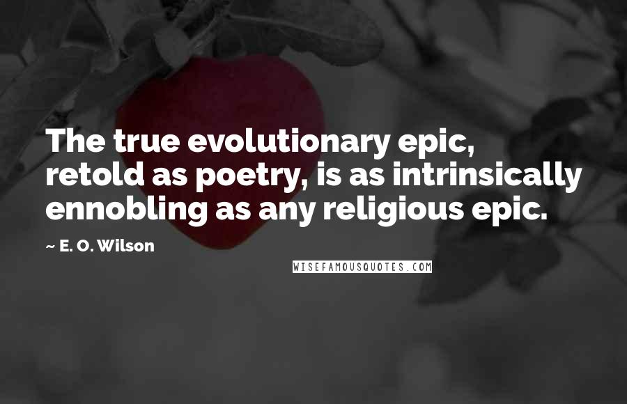 E. O. Wilson quotes: The true evolutionary epic, retold as poetry, is as intrinsically ennobling as any religious epic.