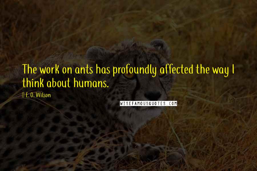 E. O. Wilson quotes: The work on ants has profoundly affected the way I think about humans.