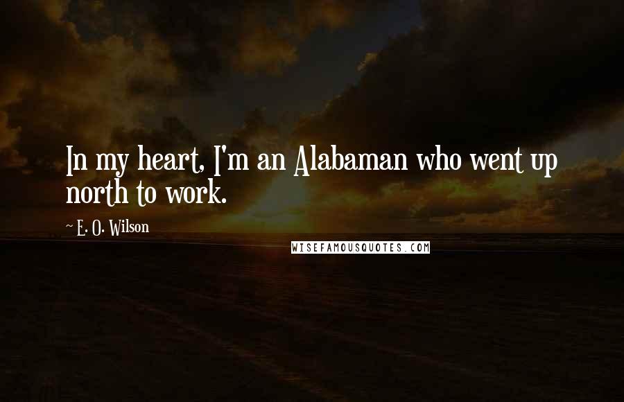 E. O. Wilson quotes: In my heart, I'm an Alabaman who went up north to work.