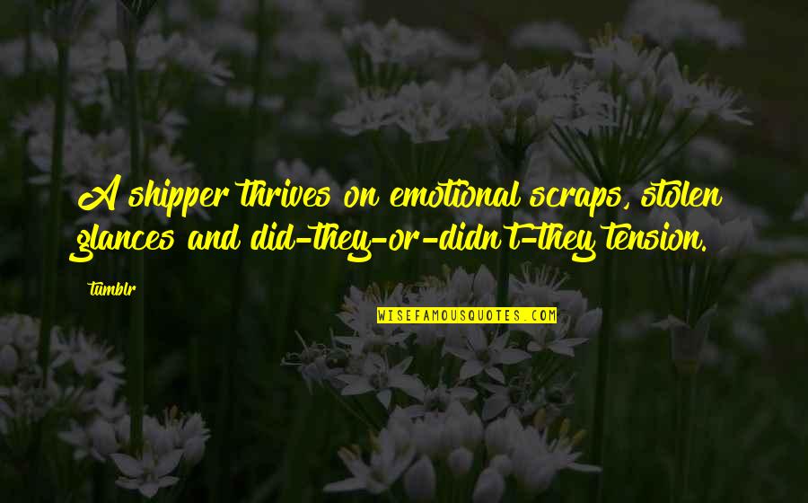 E Shipper Quotes By Tumblr: A shipper thrives on emotional scraps, stolen glances