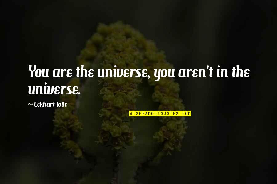 E Tolle Quotes By Eckhart Tolle: You are the universe, you aren't in the