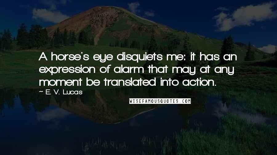 E. V. Lucas quotes: A horse's eye disquiets me: it has an expression of alarm that may at any moment be translated into action.