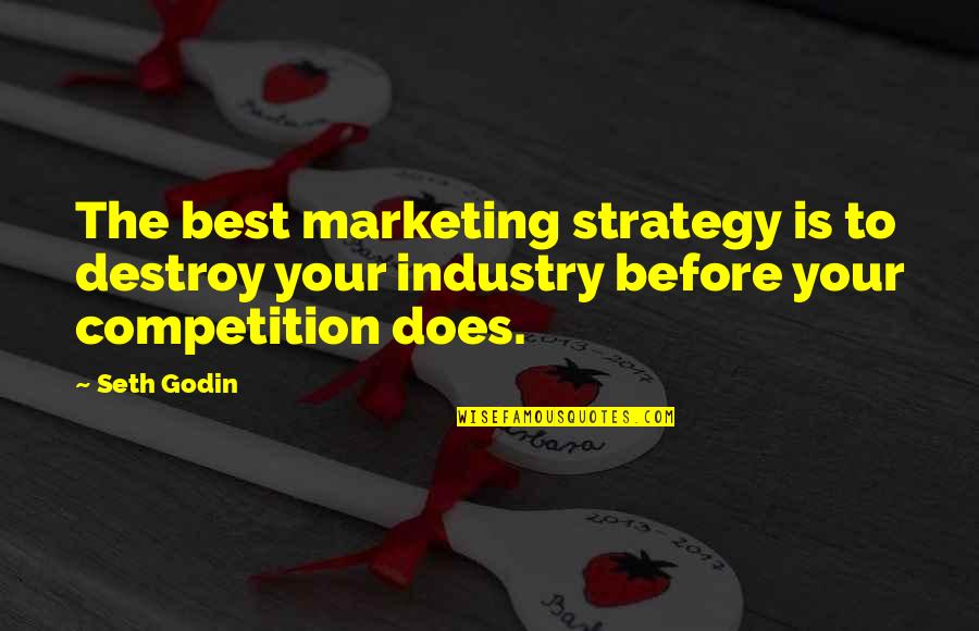 E V Rogina Quotes By Seth Godin: The best marketing strategy is to destroy your